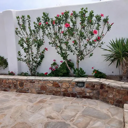 Vaso & In Naxos Town 公寓 *